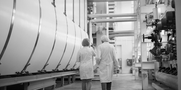 Informes Periciales Puerto Real · Informes Periciales de Ingeniería